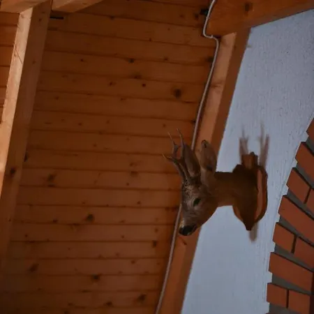 Daire Jovanovic Zlatibor