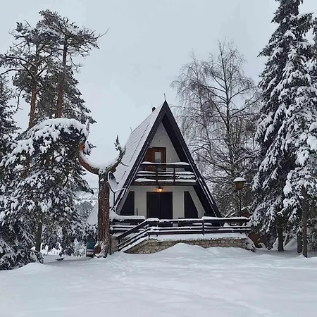 Jovanovic * 즐라티보