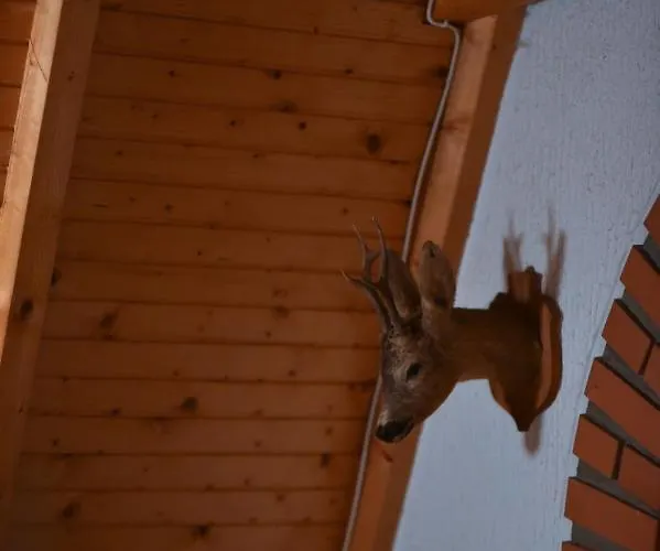 아파트 Jovanovic 즐라티보