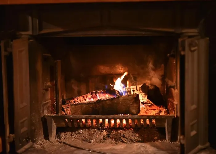 Jovanovic 즐라티보