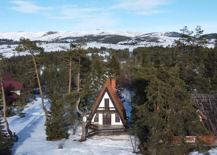 Jovanovic 즐라티보