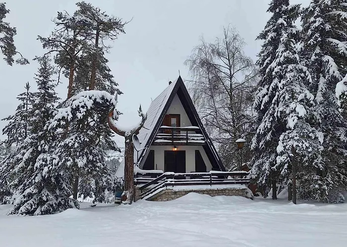 Jovanovic * 즐라티보